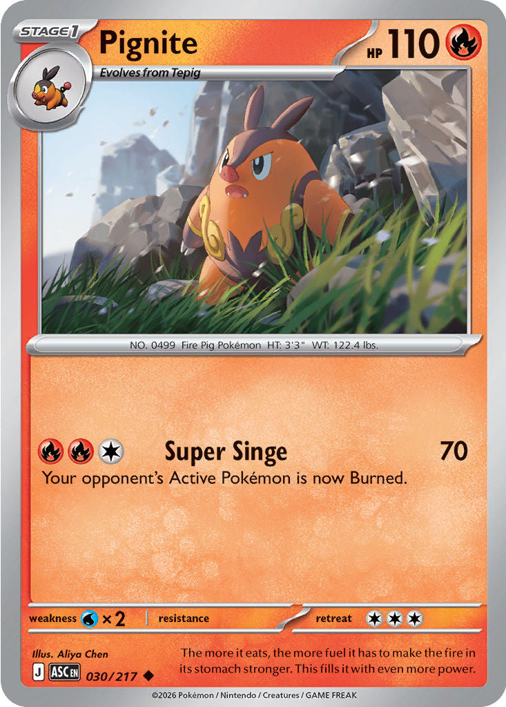 Pignite - 030/217 - Uncommon