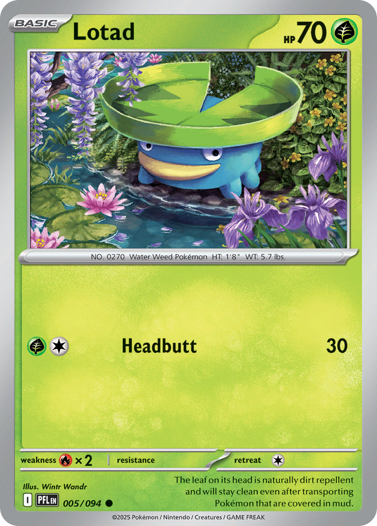 Lotad - 005/094 - Common
