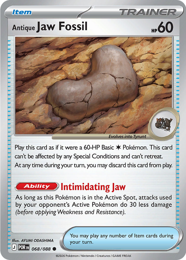 Antique Jaw Fossil - 068/088 - Common