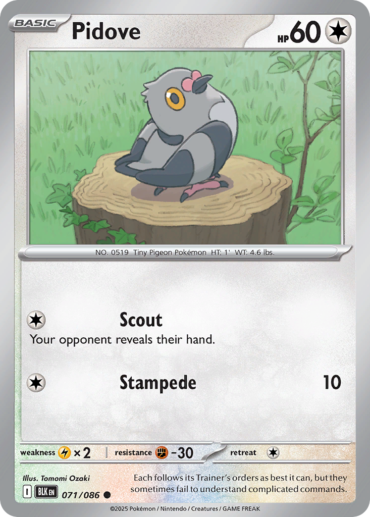Pidove - 071/086 - Common