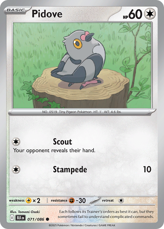 Pidove - 071/086 - Common